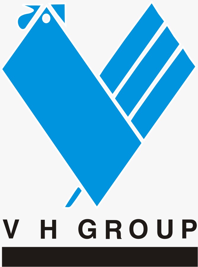 VH Group